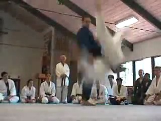 prohibited judo throws